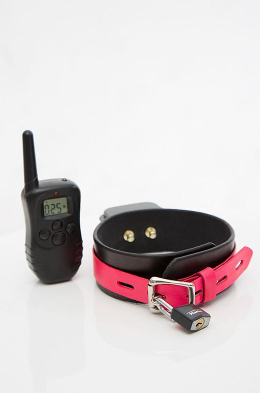 Shock Training Collar– Fancy Steel