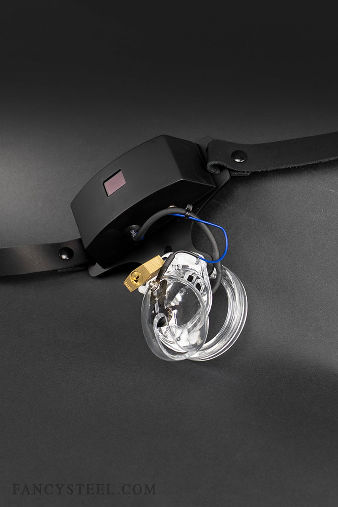 Advanced Chastity Trainer