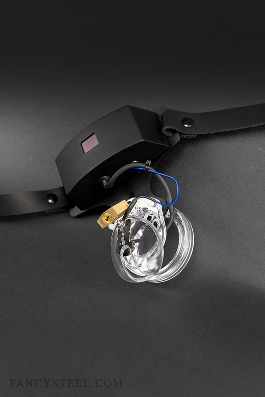 Advanced Chastity Trainer