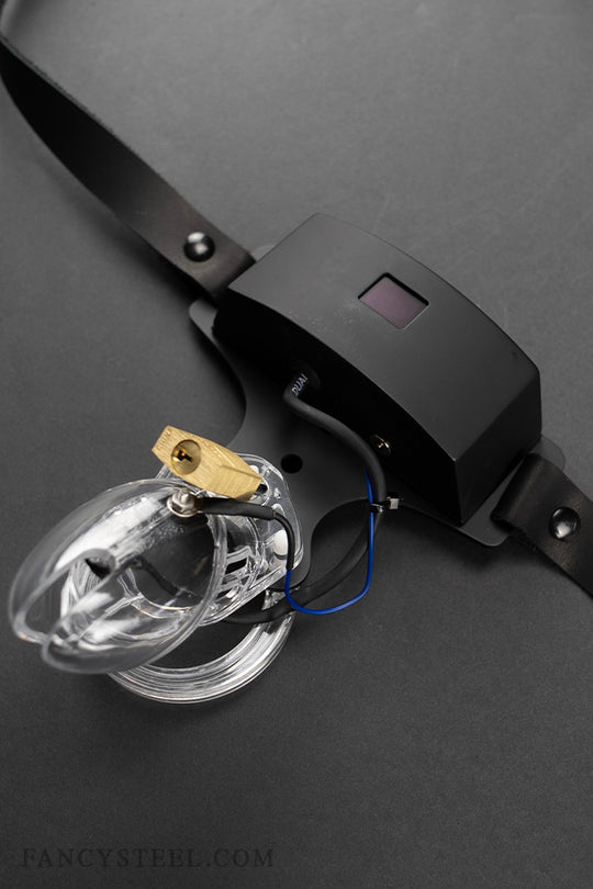 Advanced Chastity Trainer