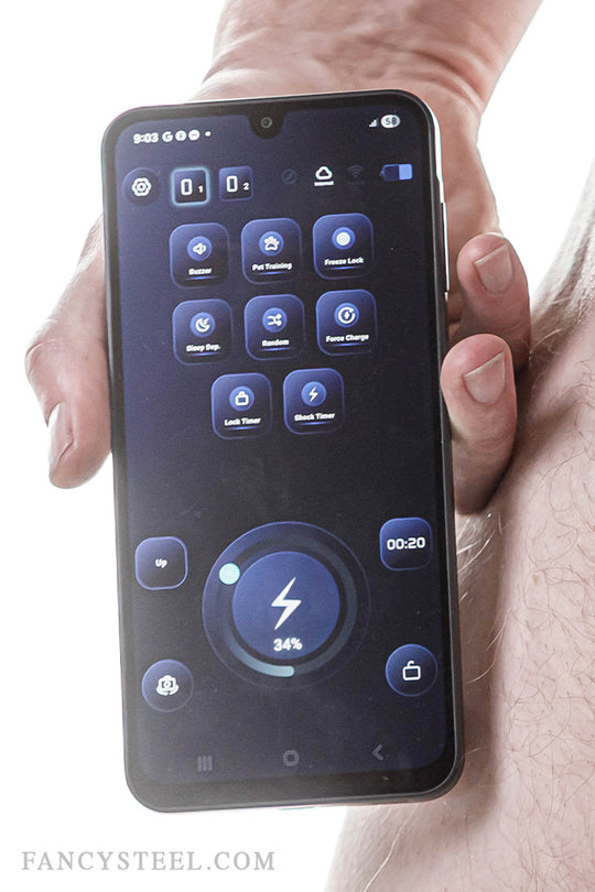 Advanced Chastity Trainer