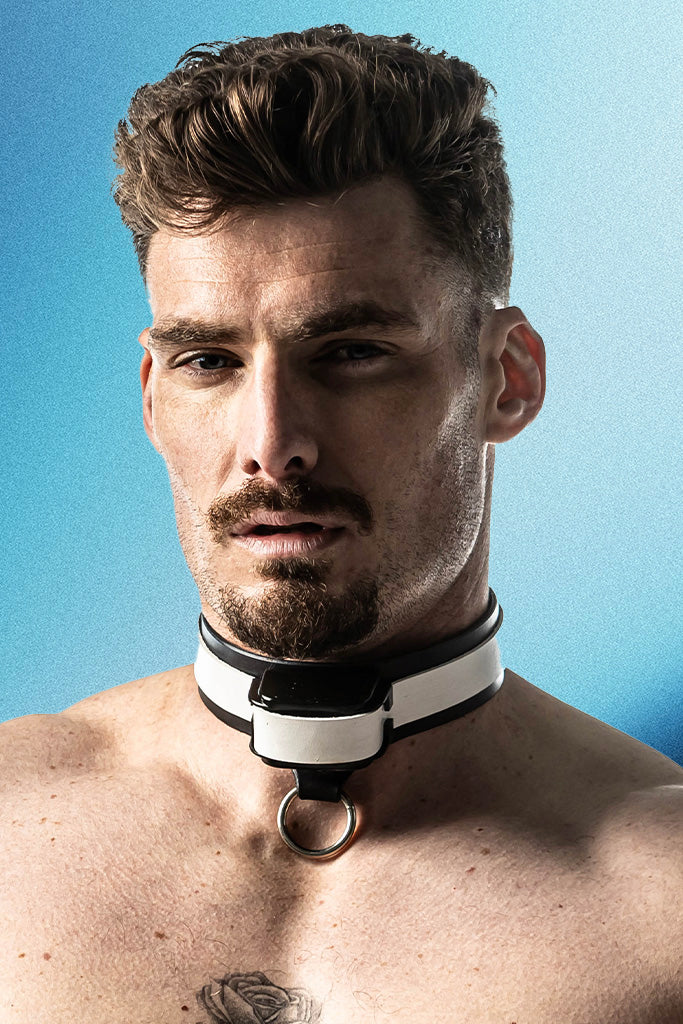 New Design Leather Electric Shock Training Collar