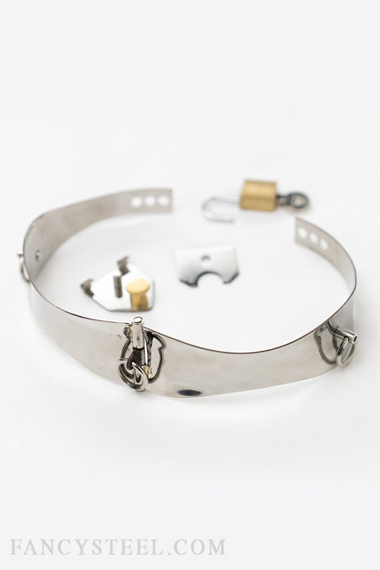 Fancy Steel O-Ring Collar