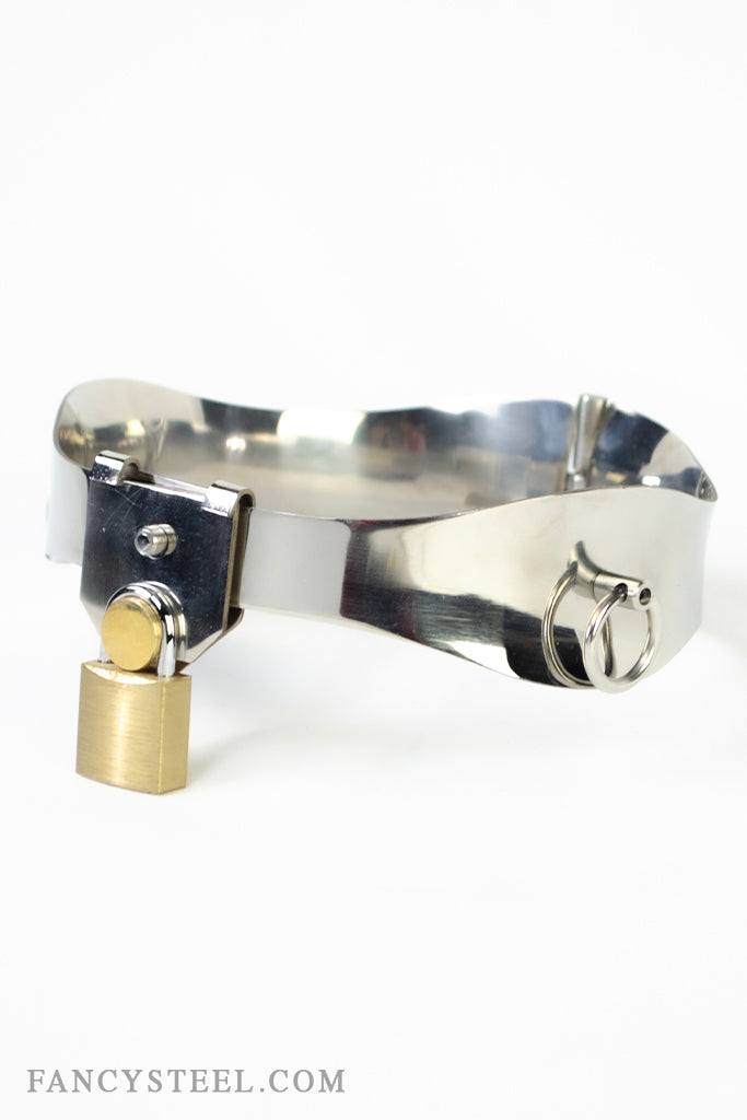 Fancy Steel O-Ring Collar