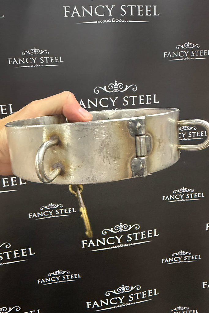 Zoey Ziptie Collar and ID tag