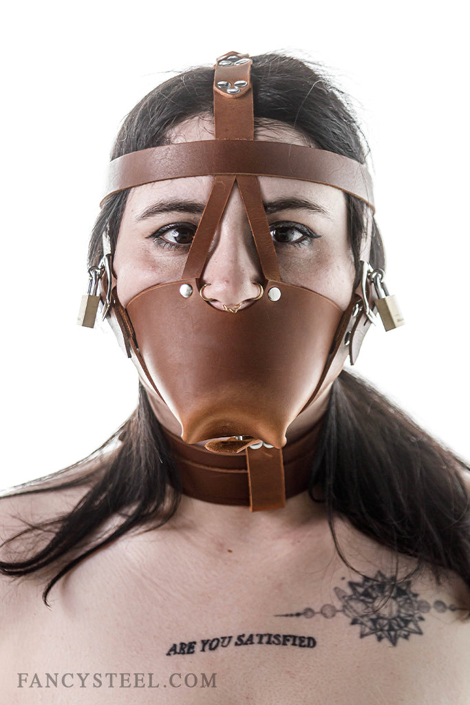 Fancy Leather Muzzle Head Harness