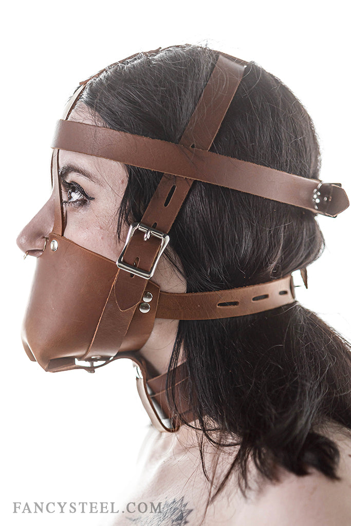 Fancy Leather Muzzle Head Harness