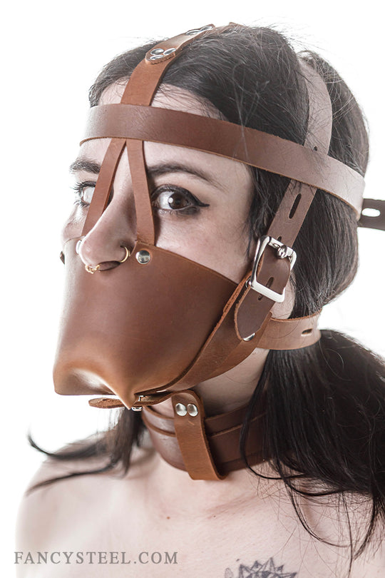 Fancy Leather Muzzle Head Harness