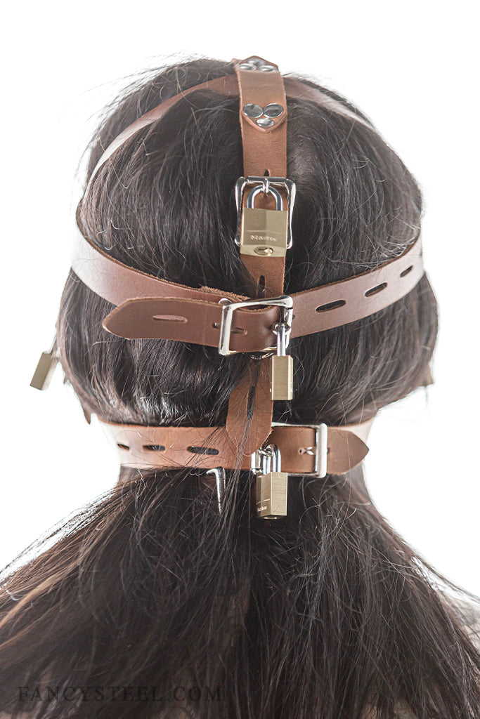 Fancy Leather Muzzle Head Harness