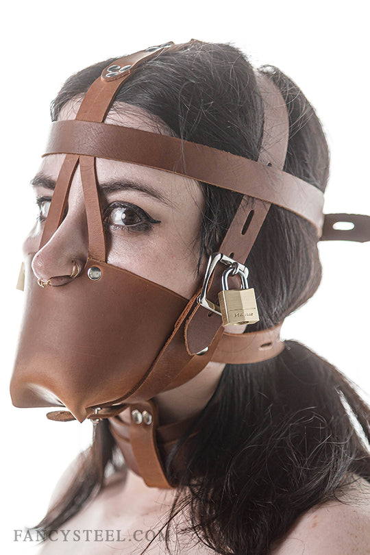 Fancy Leather Muzzle Head Harness