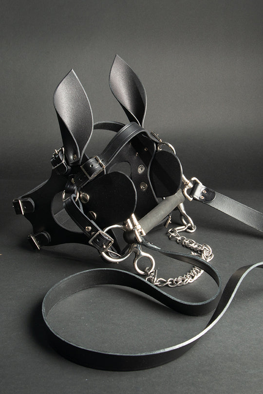 Pony head harness