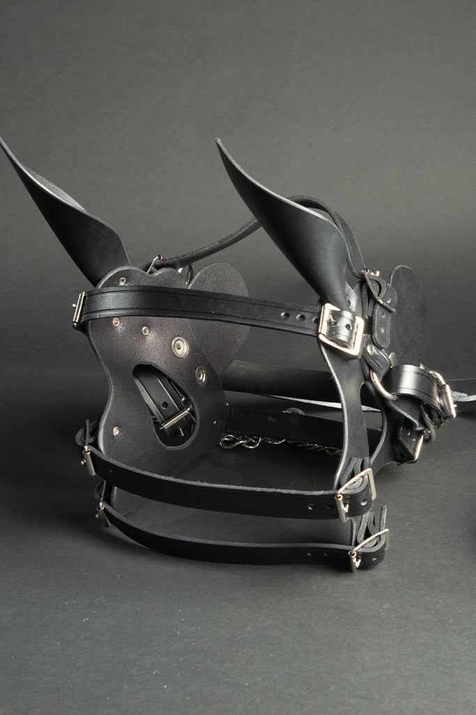 Pony head harness
