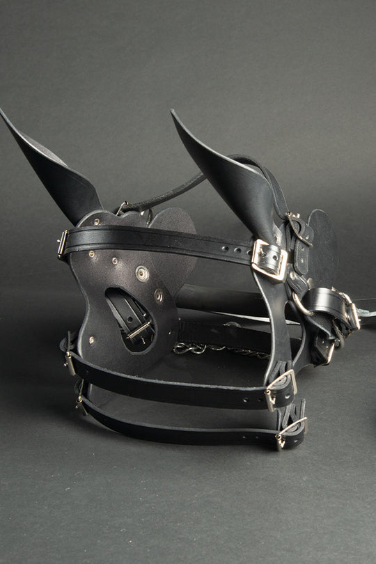 Pony head harness