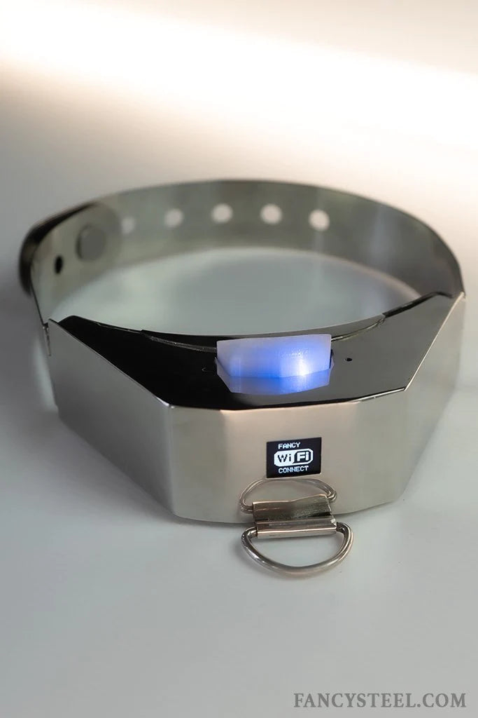 Special Edition Coloured Advanced Training Collar 7.1 Fancy Steel