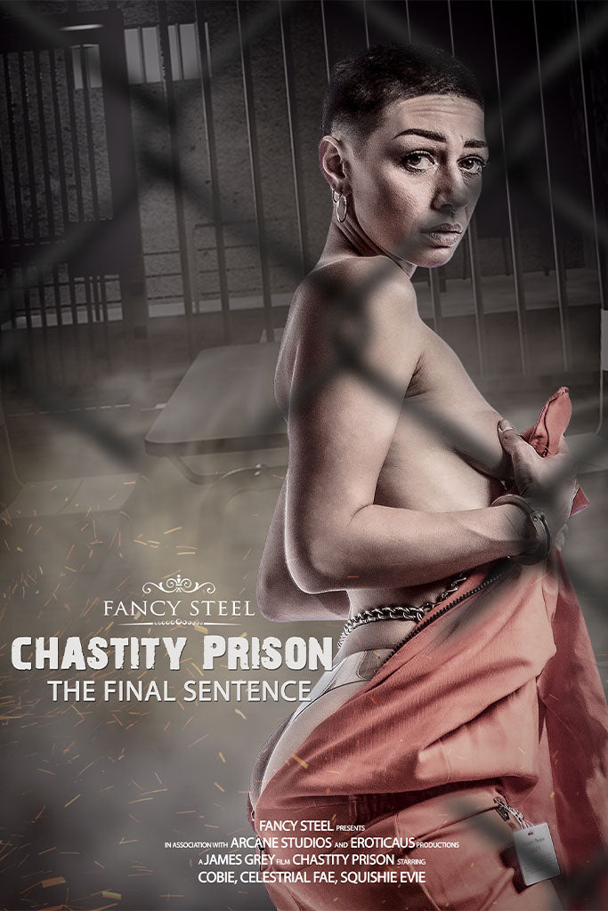 Chastity Prison 5: The Final Sentence