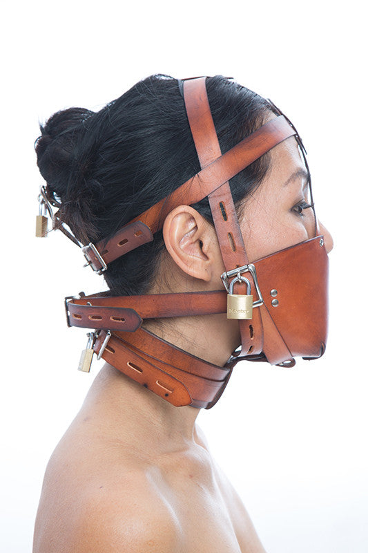 Fancy Leather Muzzle Head Harness