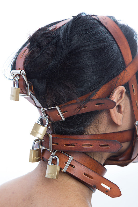 Fancy Leather Muzzle Head Harness