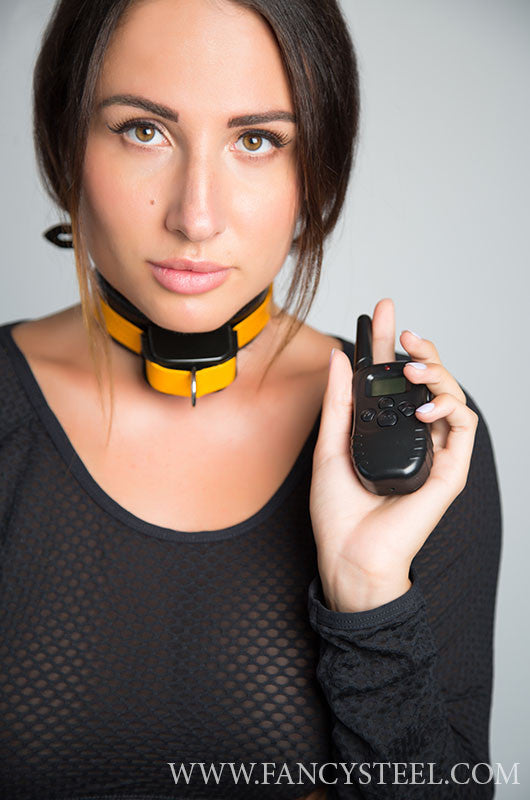 Shock Training Collar