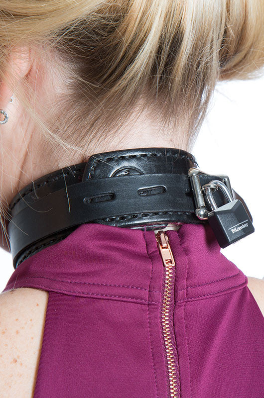 Steel 2025 shock collar