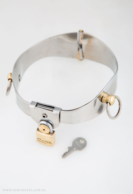 Fancy Steel O-Ring Collar
