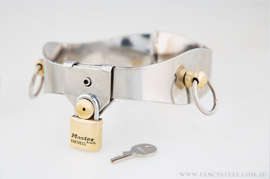 Fancy Steel O-Ring Collar