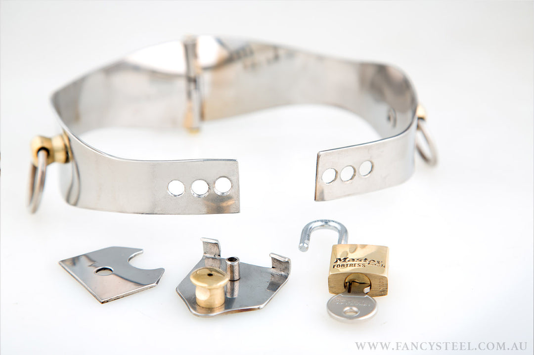 Fancy Steel O-Ring Collar