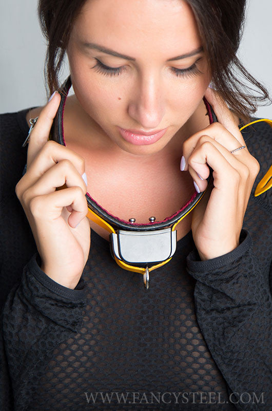 Shock Training Collar Fancy Steel Shock Training Collar Fancy Steel