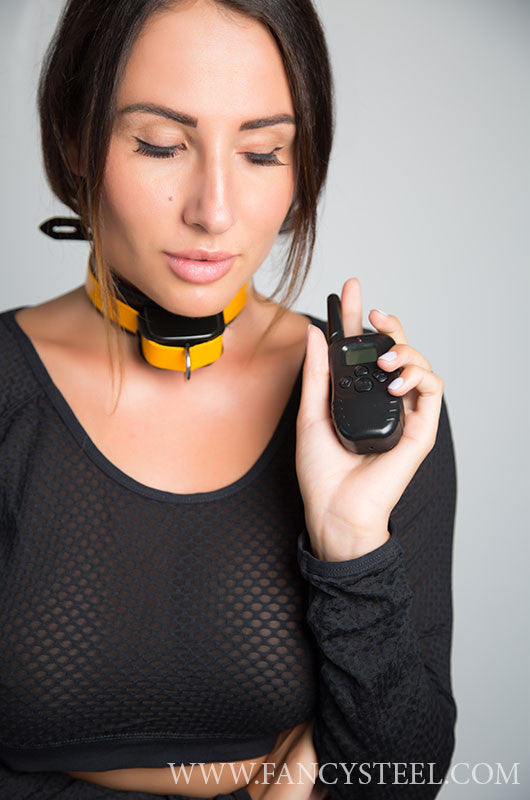 Shock Training Collar Fancy Steel Shock Training Collar Fancy Steel