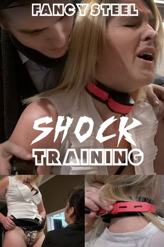 Shock collar training video