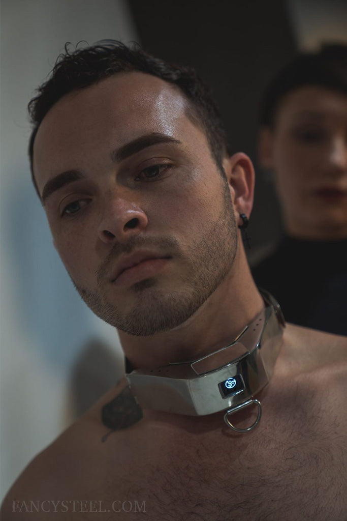 Advanced Training Collar V8 – Fancy Steel